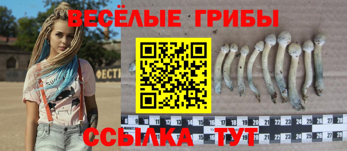 Галлюциногенные грибы Psilocybine cubensis  Вход с VPN  Псилоцибиновые грибы ЛСД  Нижнекамск 